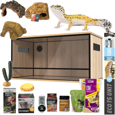 leopardgeckoadvanced